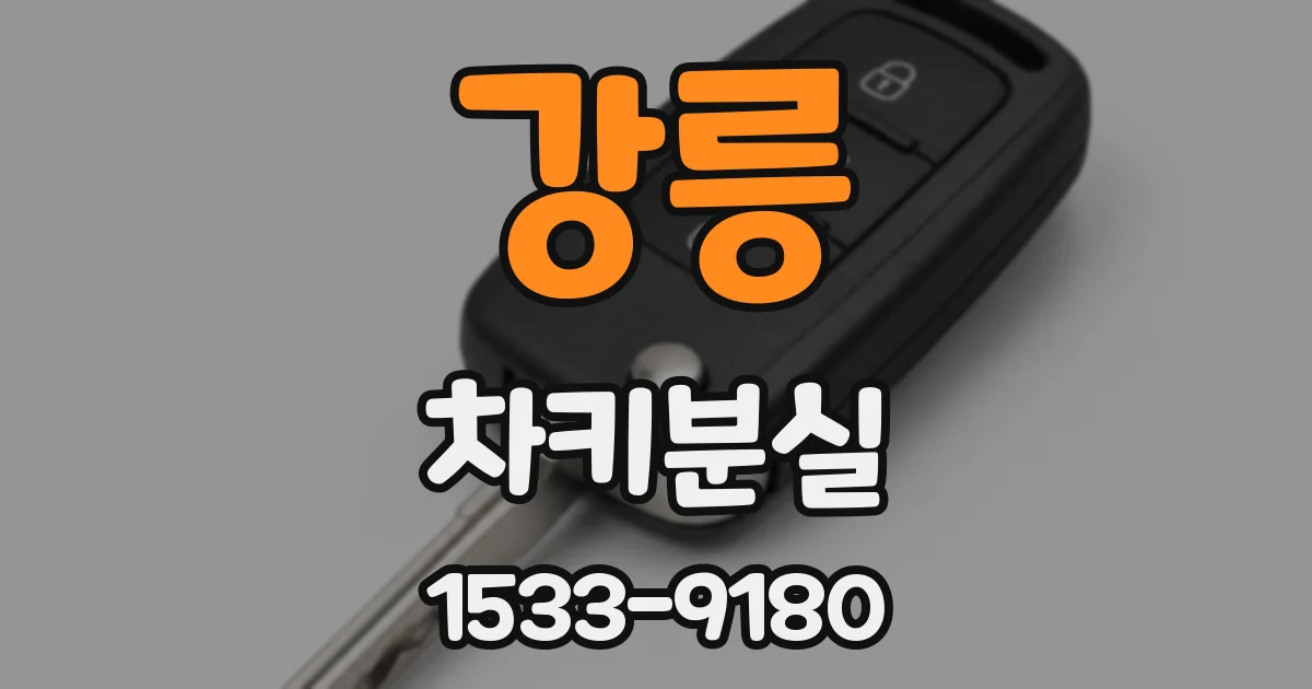 강릉 차키분실