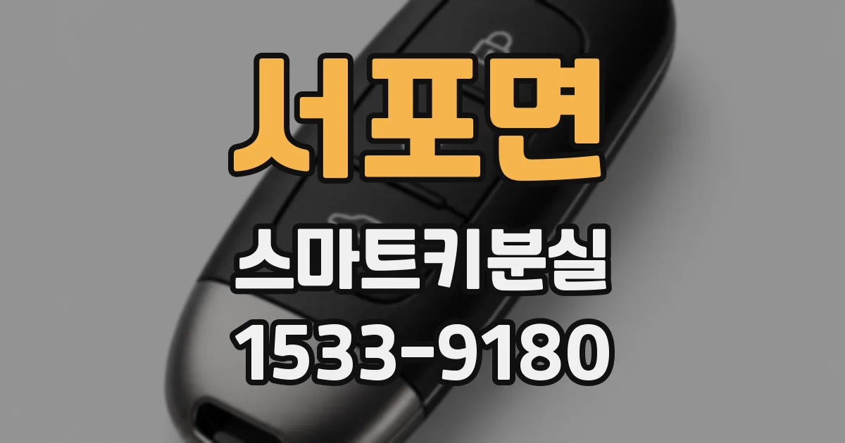서포면 스마트키분실