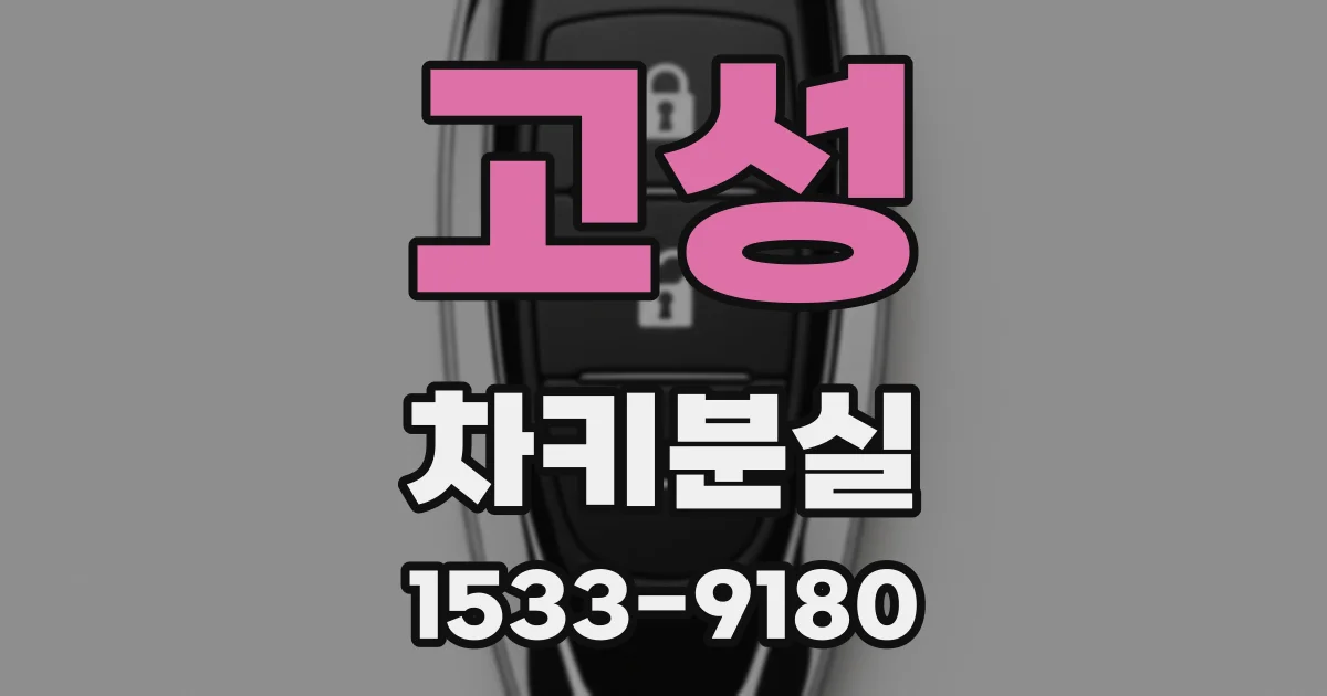 고성 차키분실
