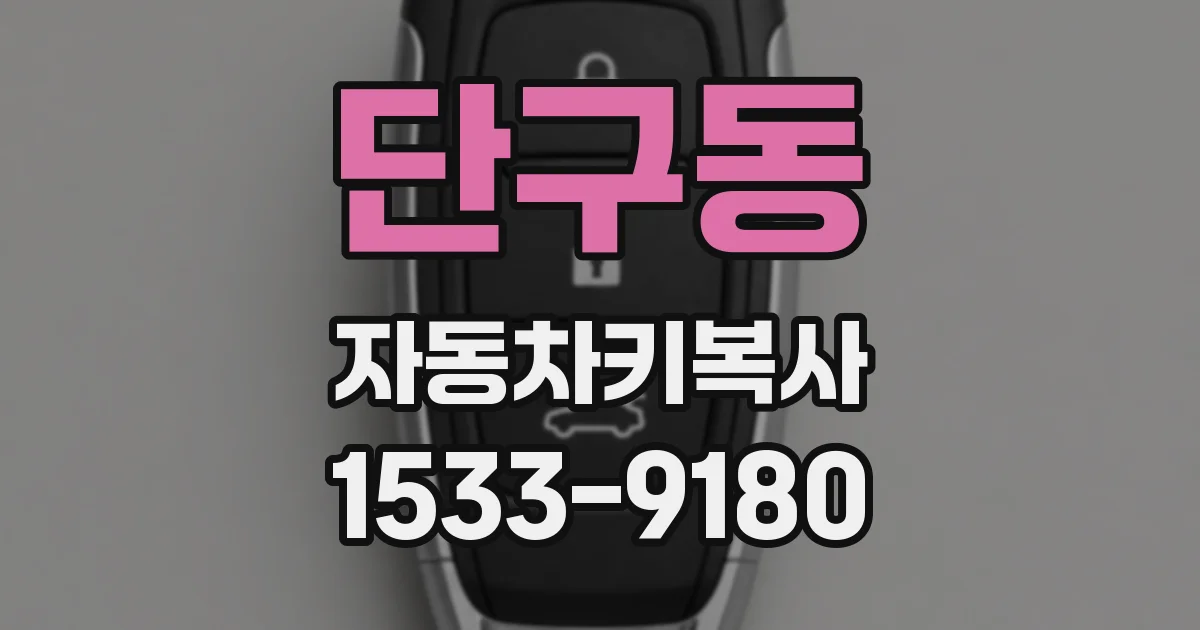 단구동 자동차키복사