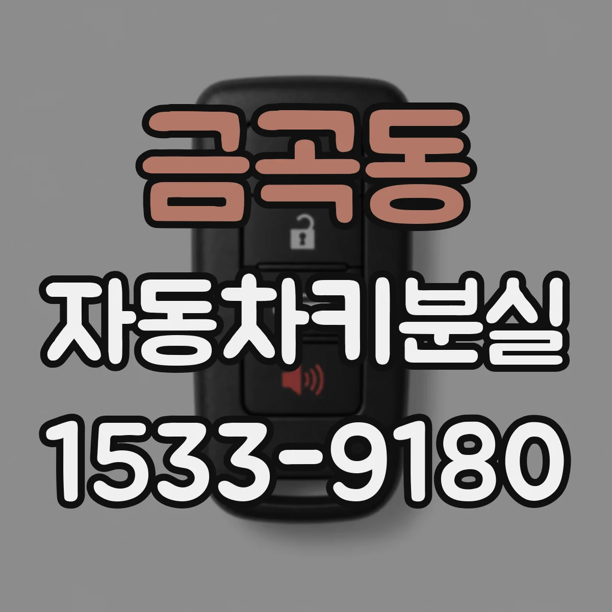 금곡동 자동차키분실