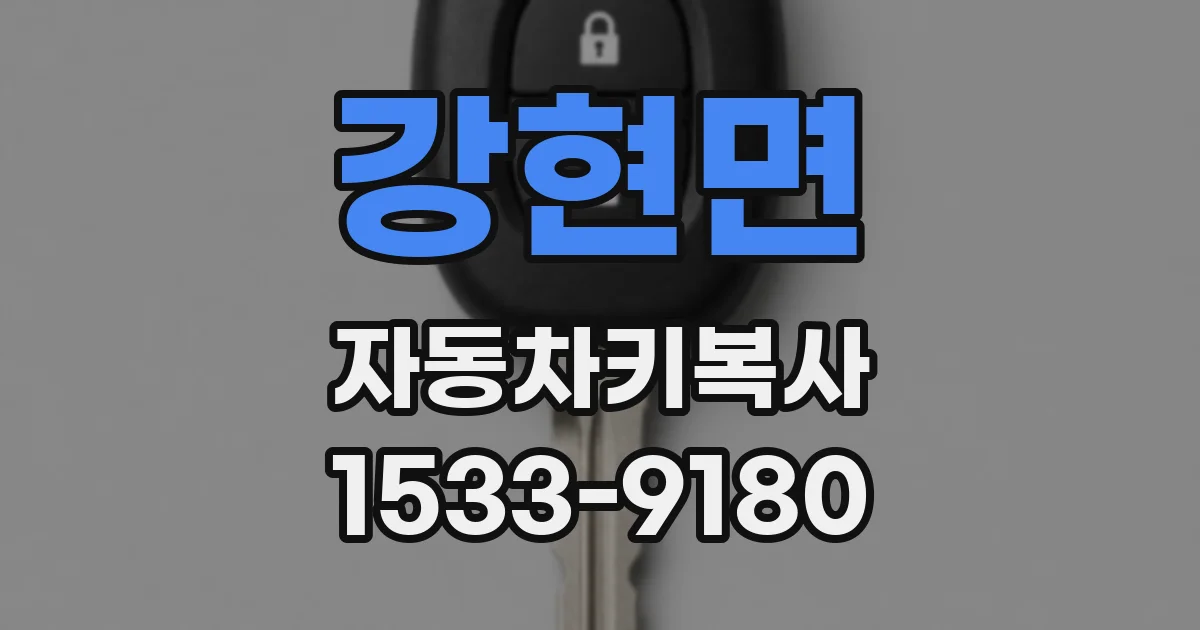 강현면 자동차키복사