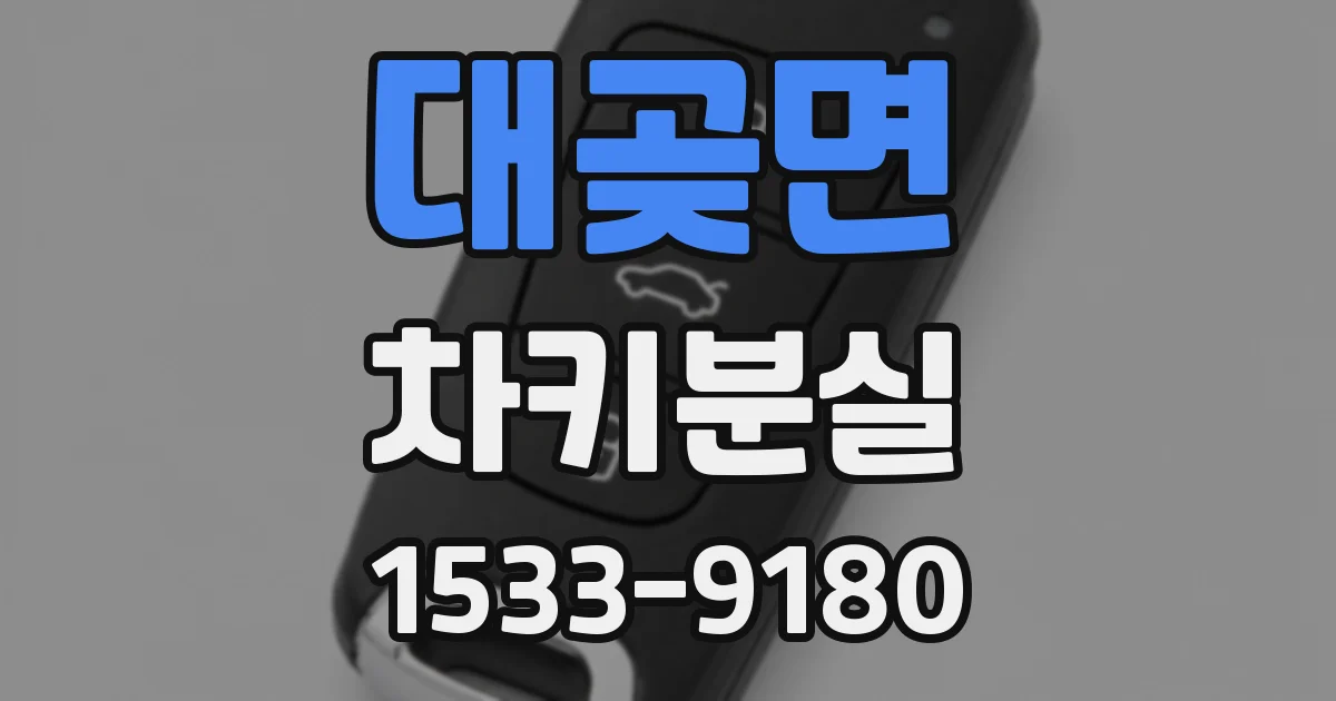 대곶면 차키분실
