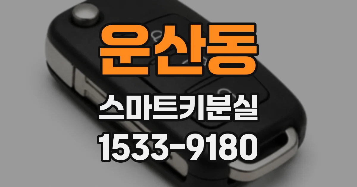운산동 스마트키분실