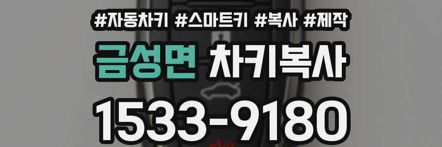 금성면 차키복사