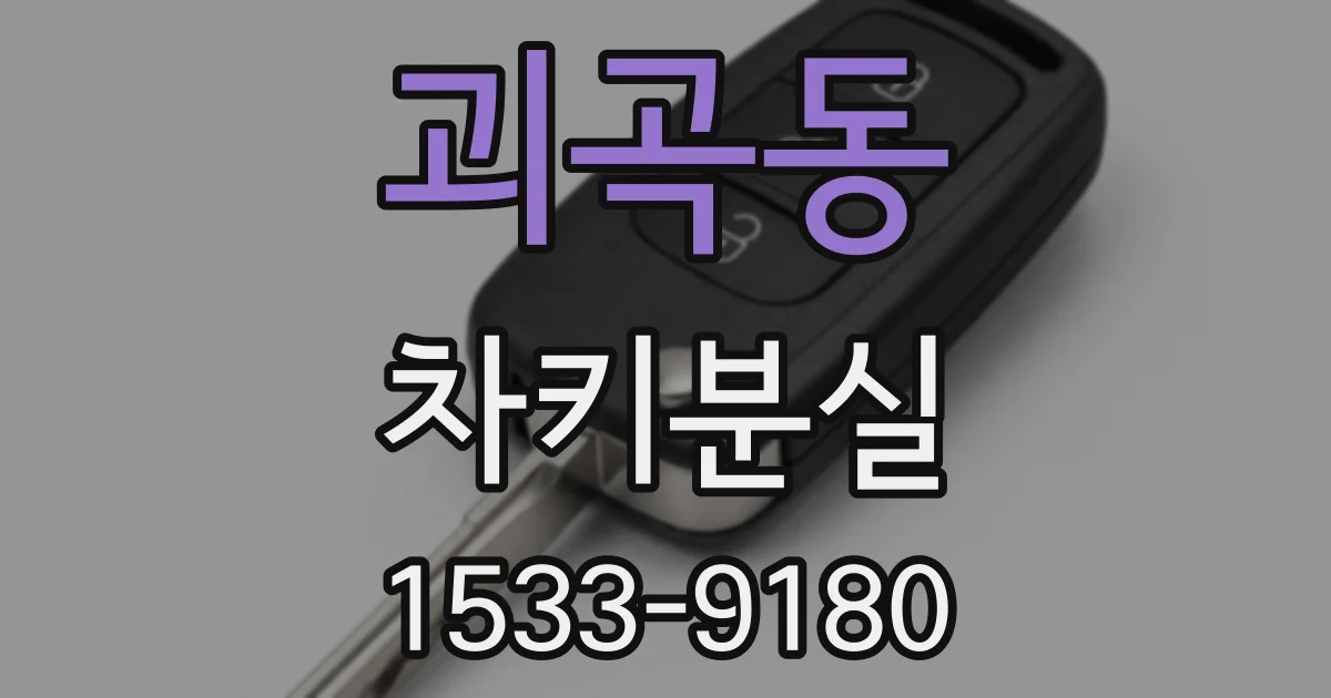 괴곡동 차키분실