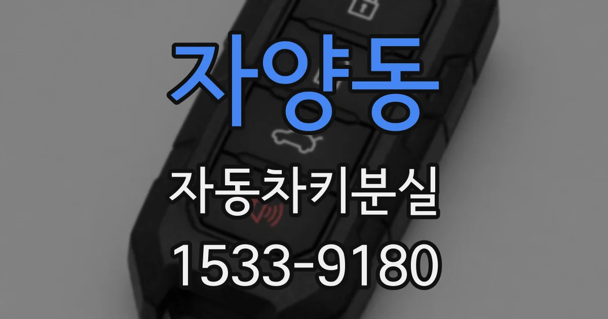 자양동 자동차키분실