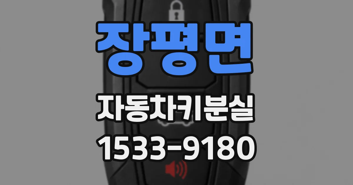 장평면 자동차키분실