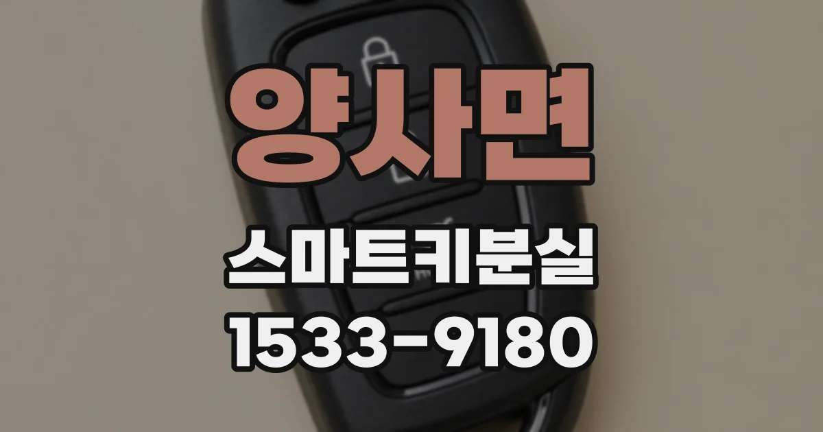 양사면 스마트키분실