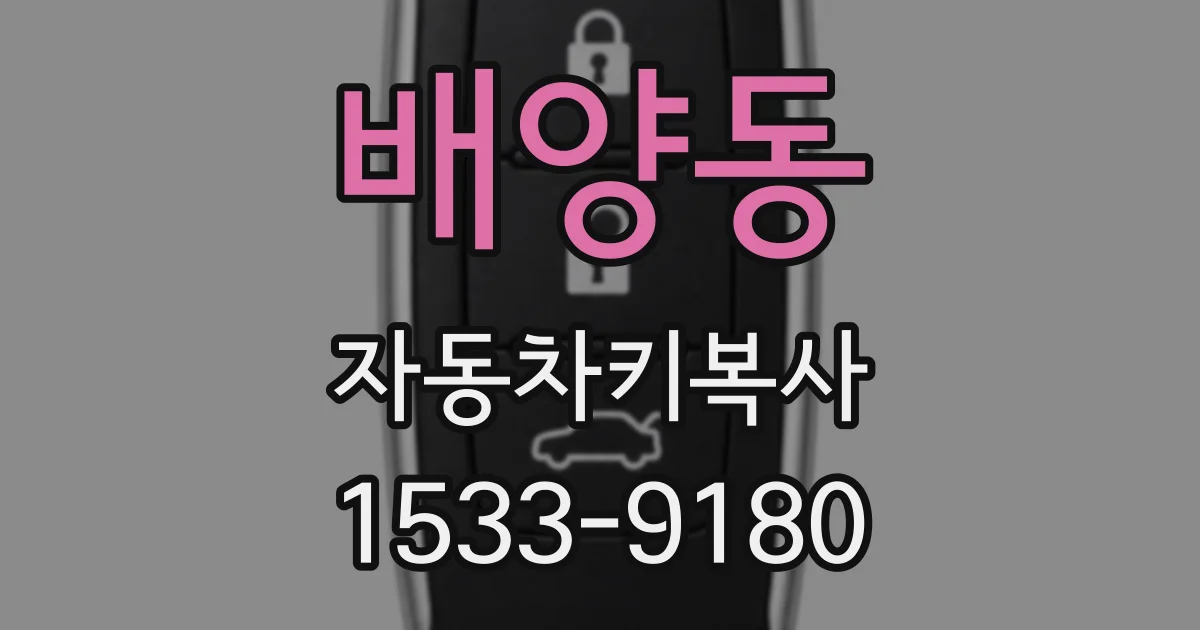 배양동 자동차키복사