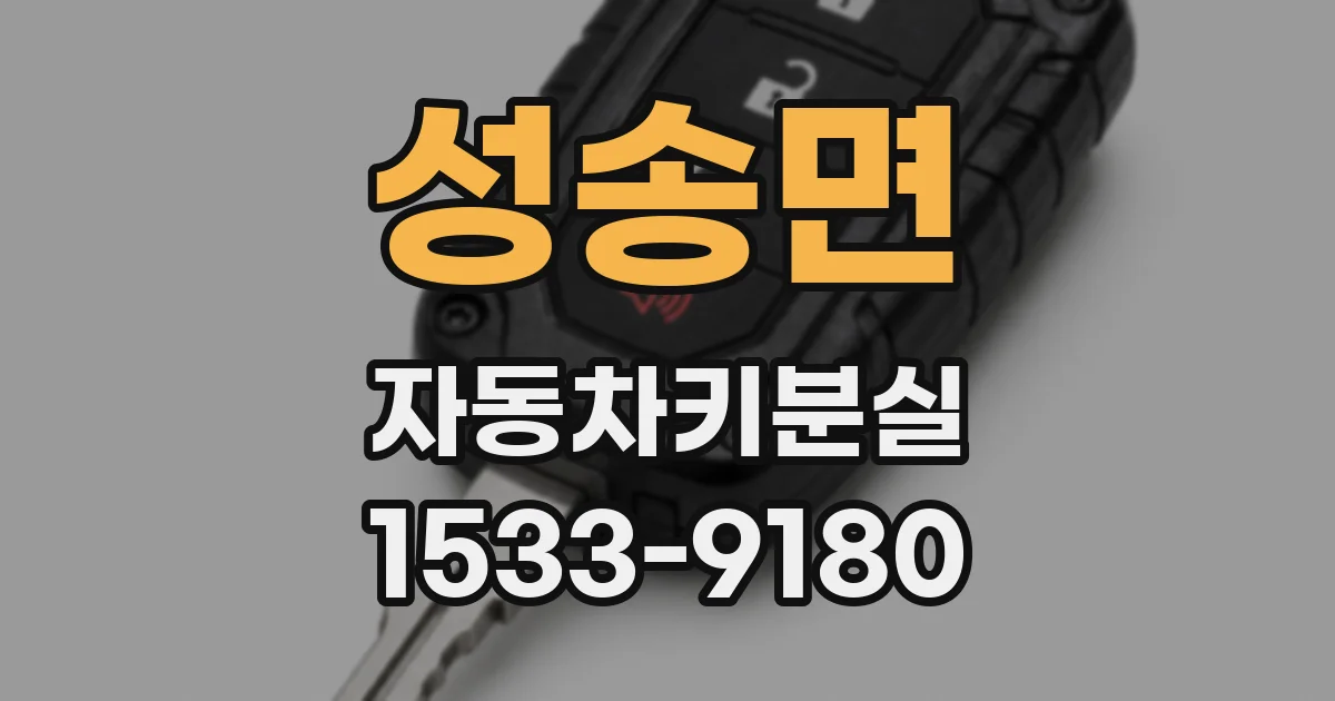 성송면 자동차키분실