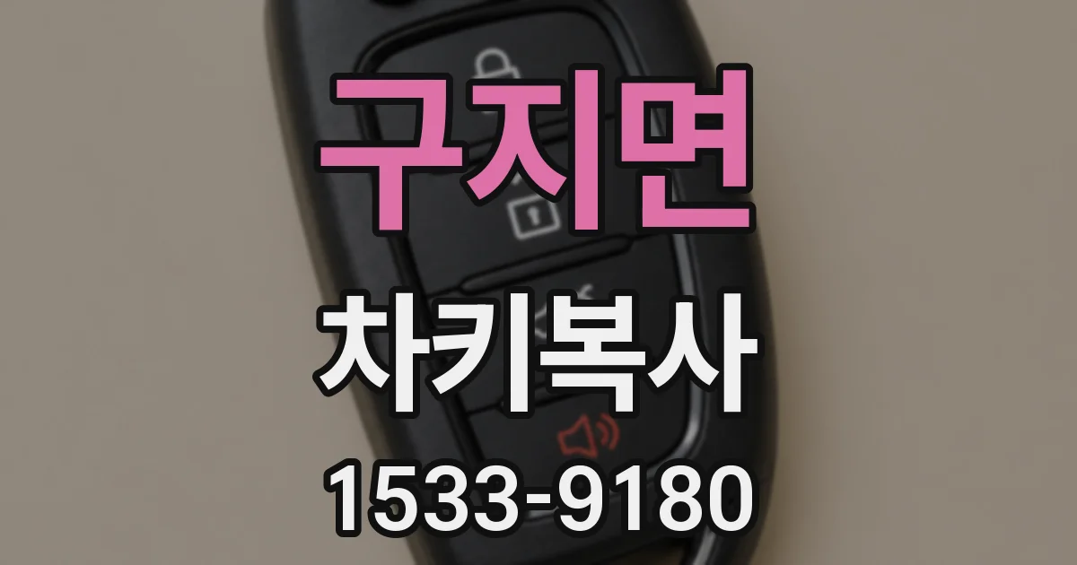 구지면 차키복사
