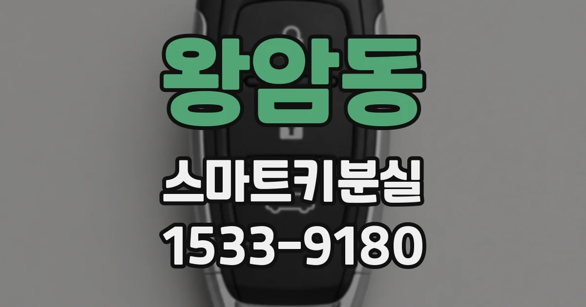 왕암동 스마트키분실