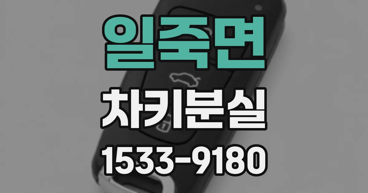 일죽면 차키분실