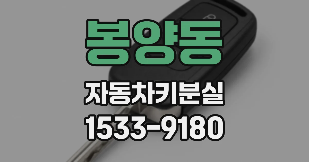 봉양동 자동차키분실