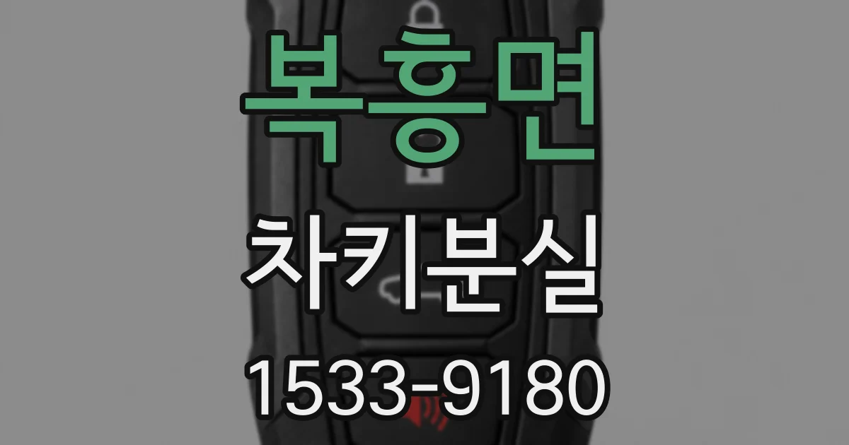 복흥면 차키분실
