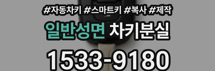 일반성면 차키분실