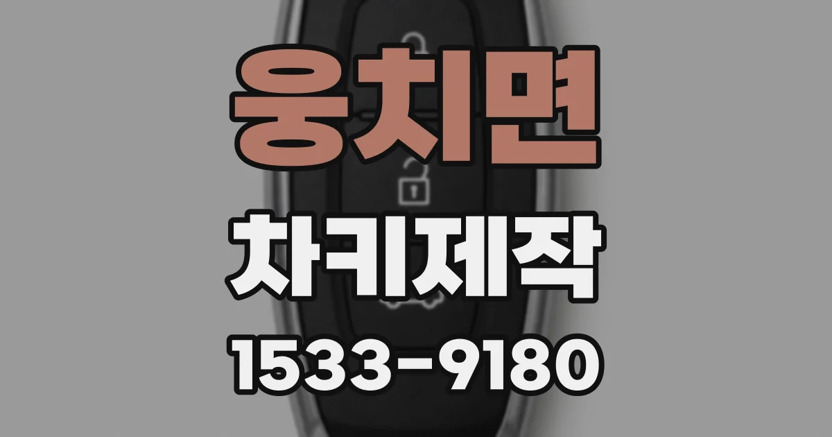 웅치면 차키제작