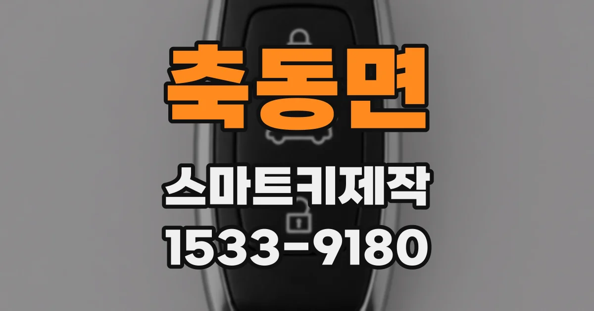 축동면 스마트키제작