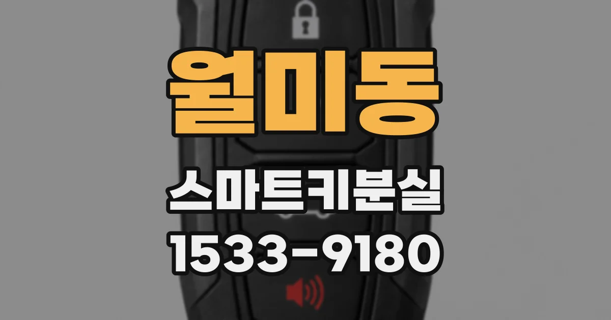 월미동 스마트키분실