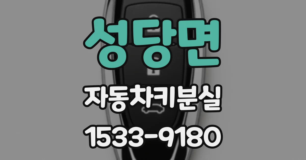 성당면 자동차키분실
