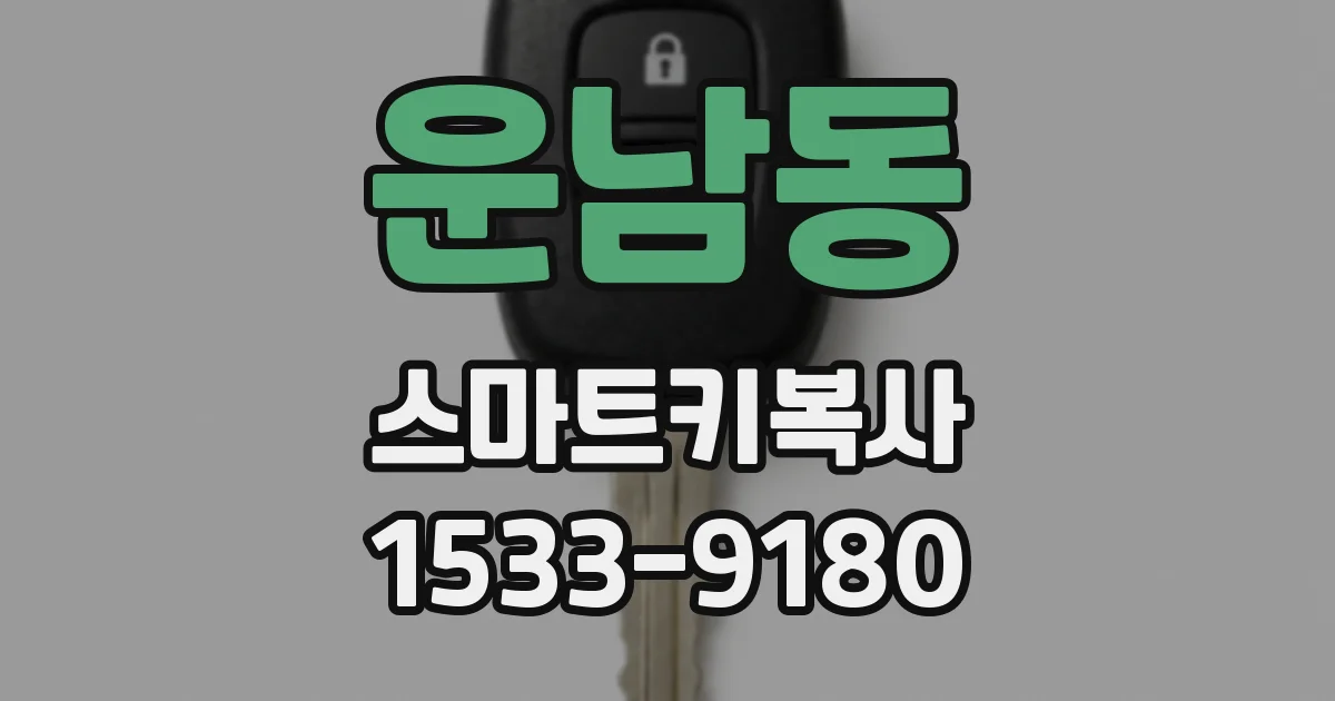 운남동 스마트키복사