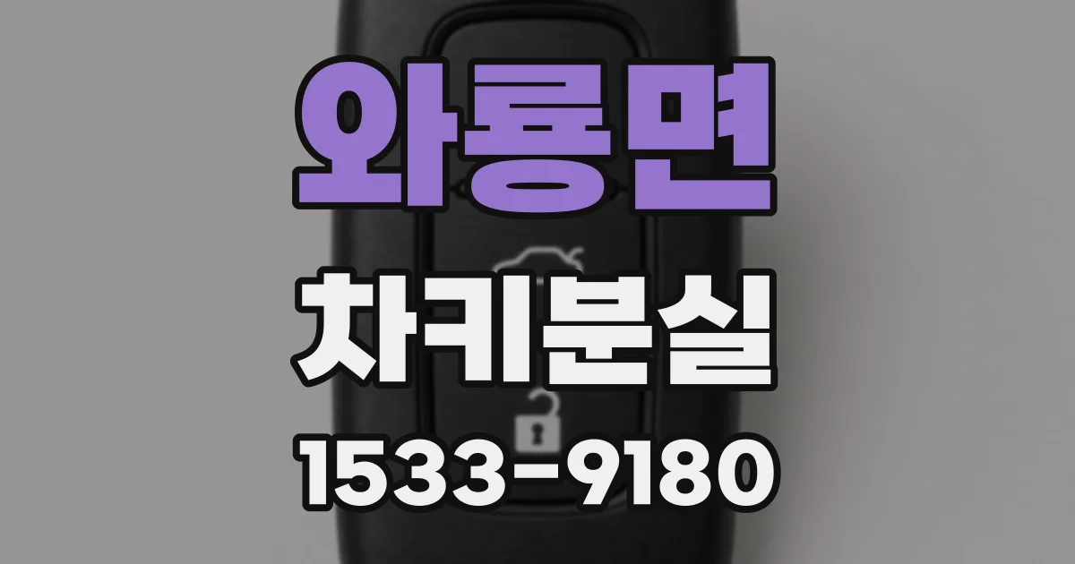 와룡면 차키분실