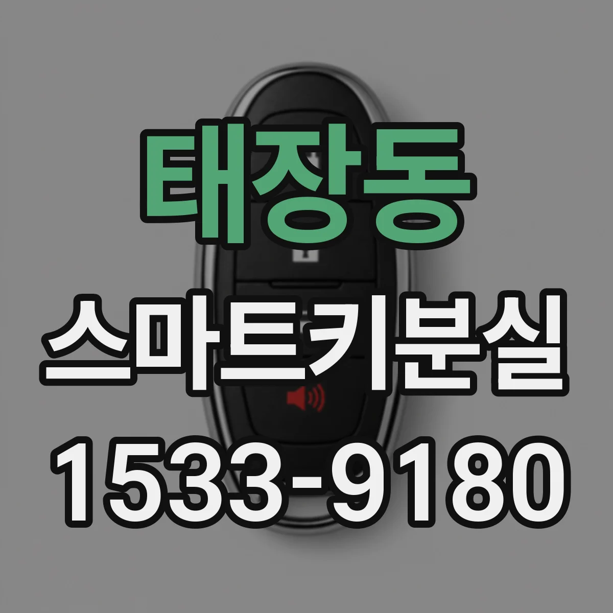 태장동 스마트키분실