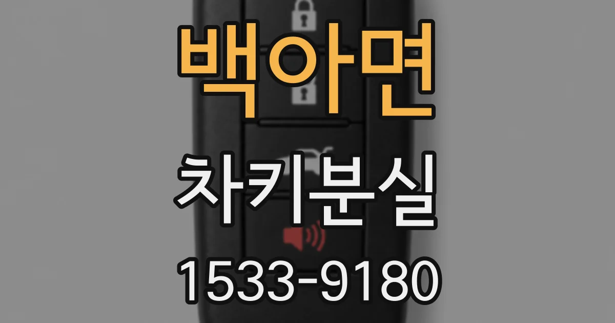 백아면 차키분실