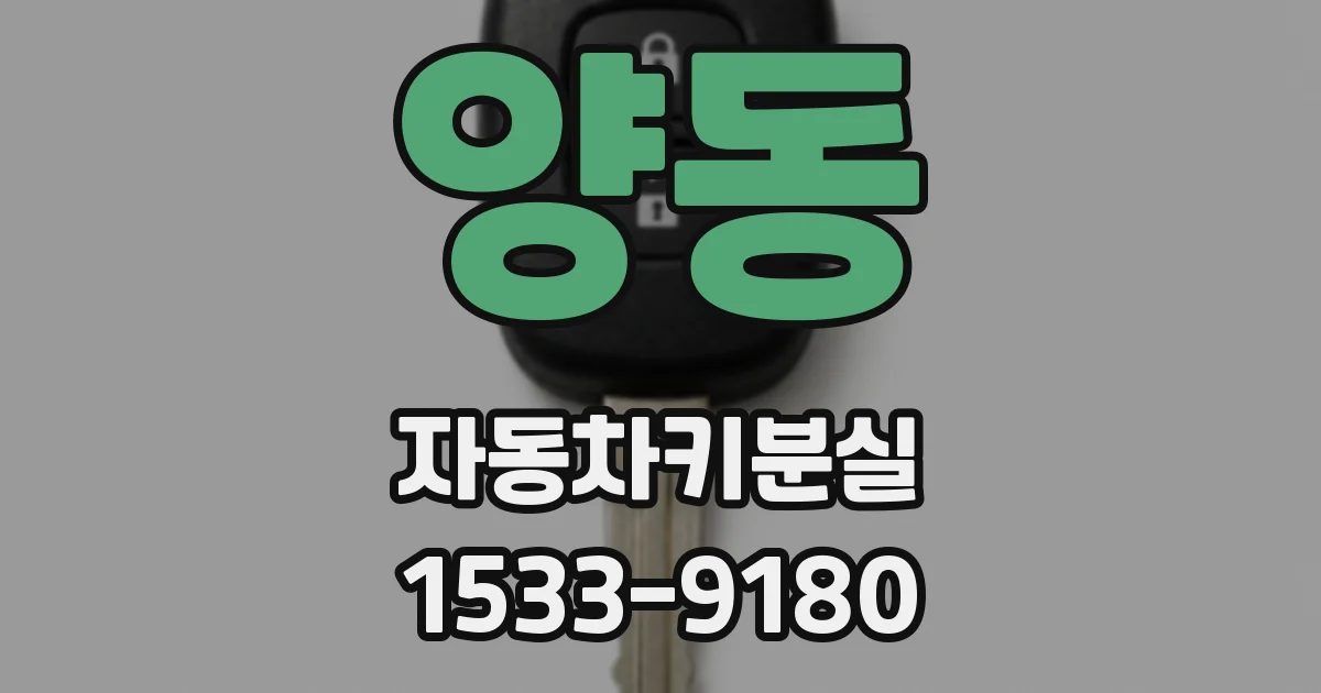 양동 자동차키분실