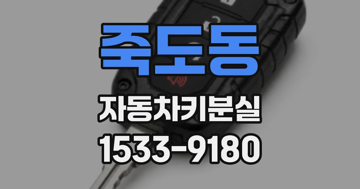 죽도동 자동차키분실
