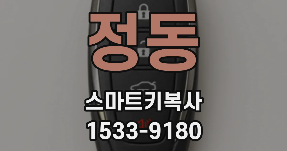 정동 스마트키복사