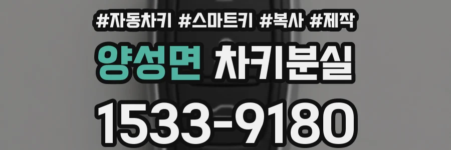 양성면 차키분실