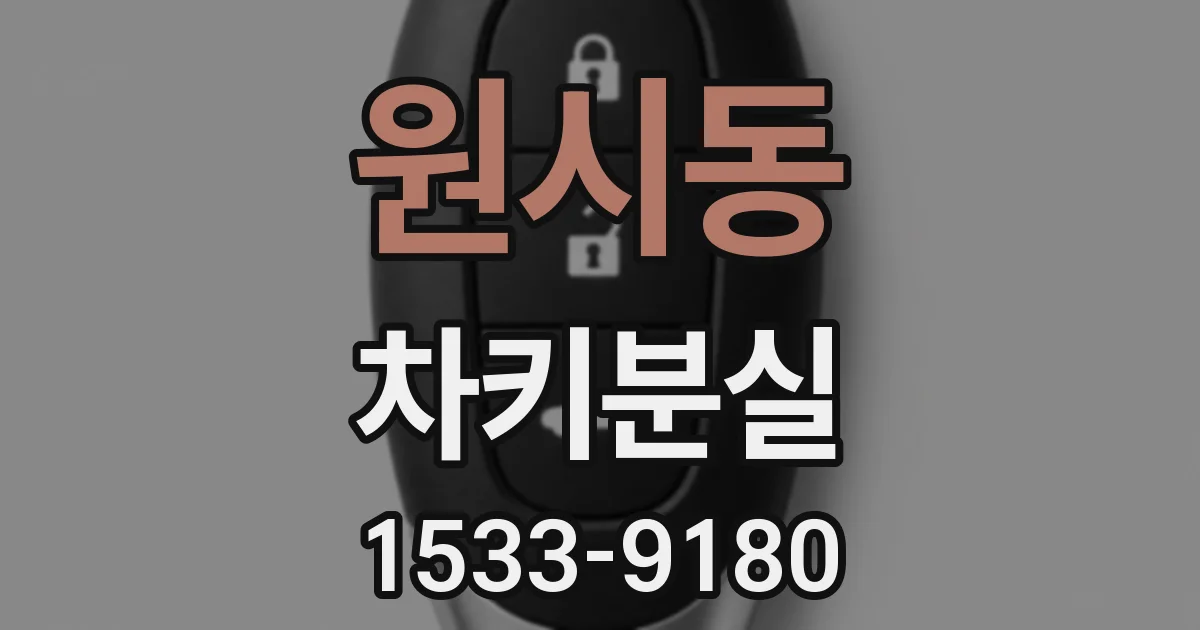 원시동 차키분실