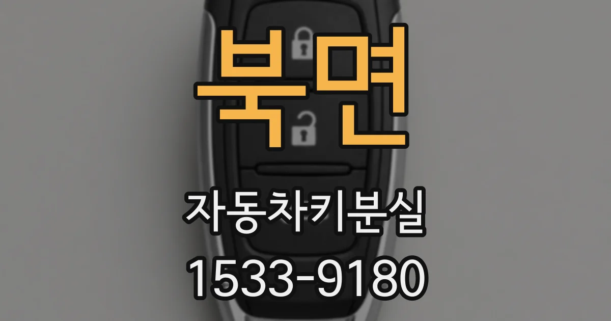 북면 자동차키분실