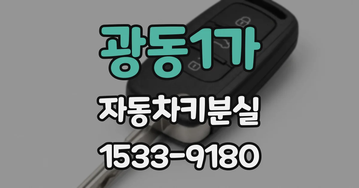 광동1가 자동차키분실