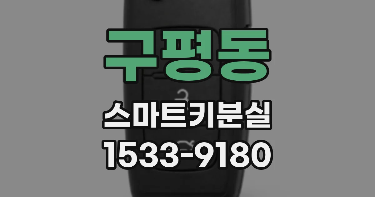 구평동 스마트키분실
