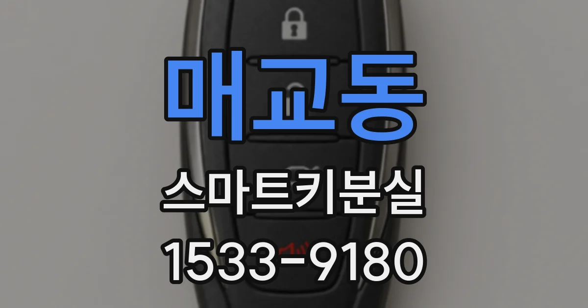 매교동 스마트키분실