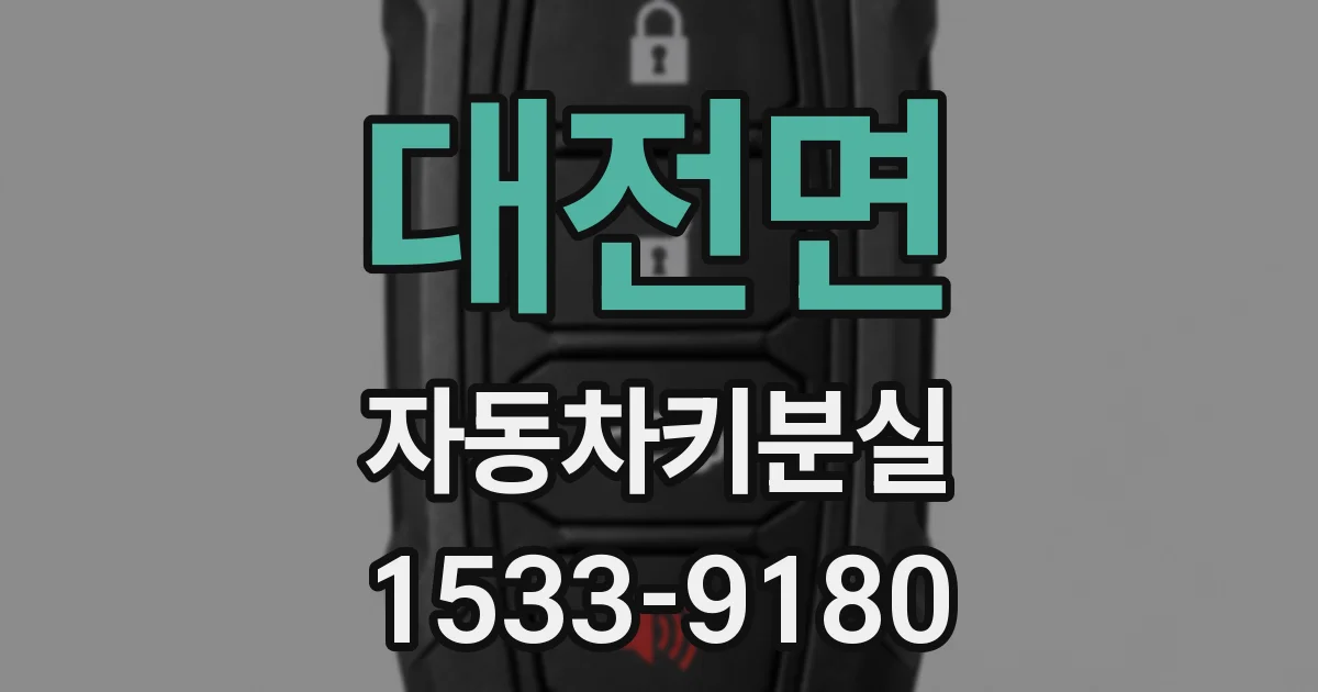 대전면 자동차키분실