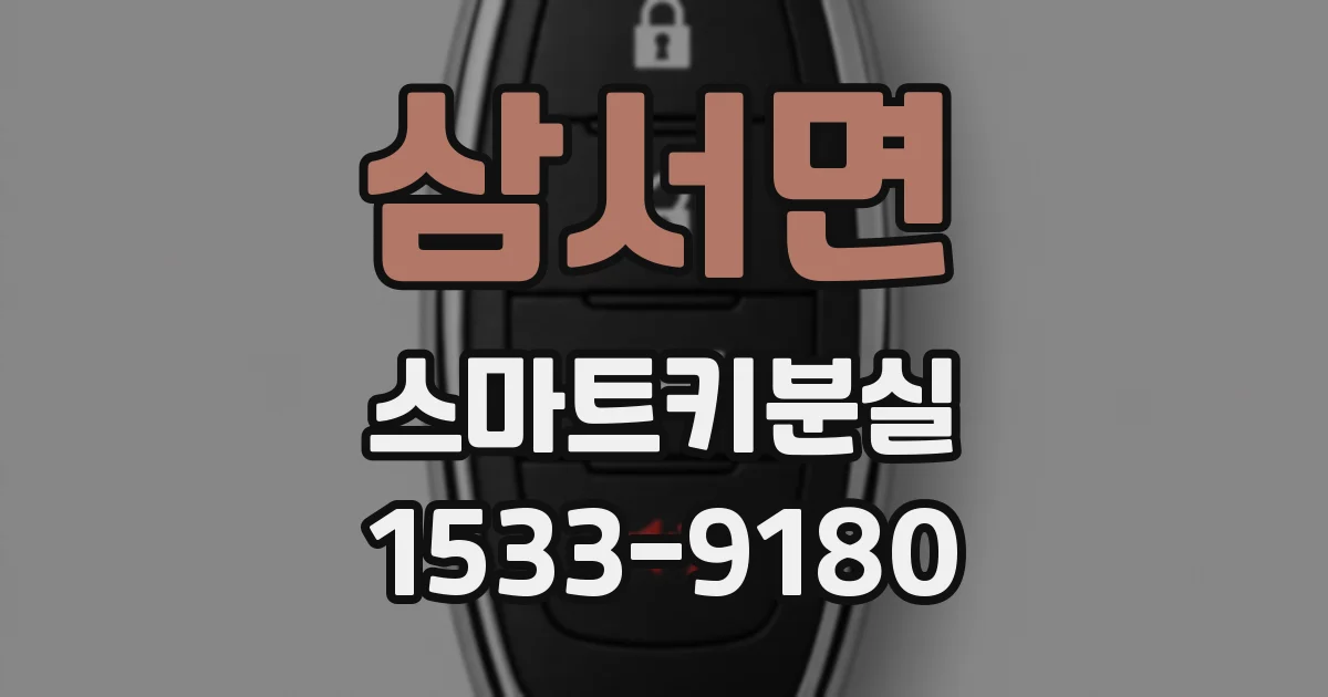 삼서면 스마트키분실