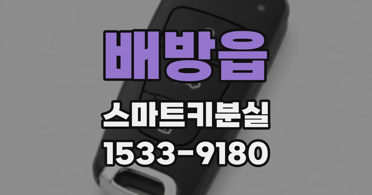 배방읍 스마트키분실
