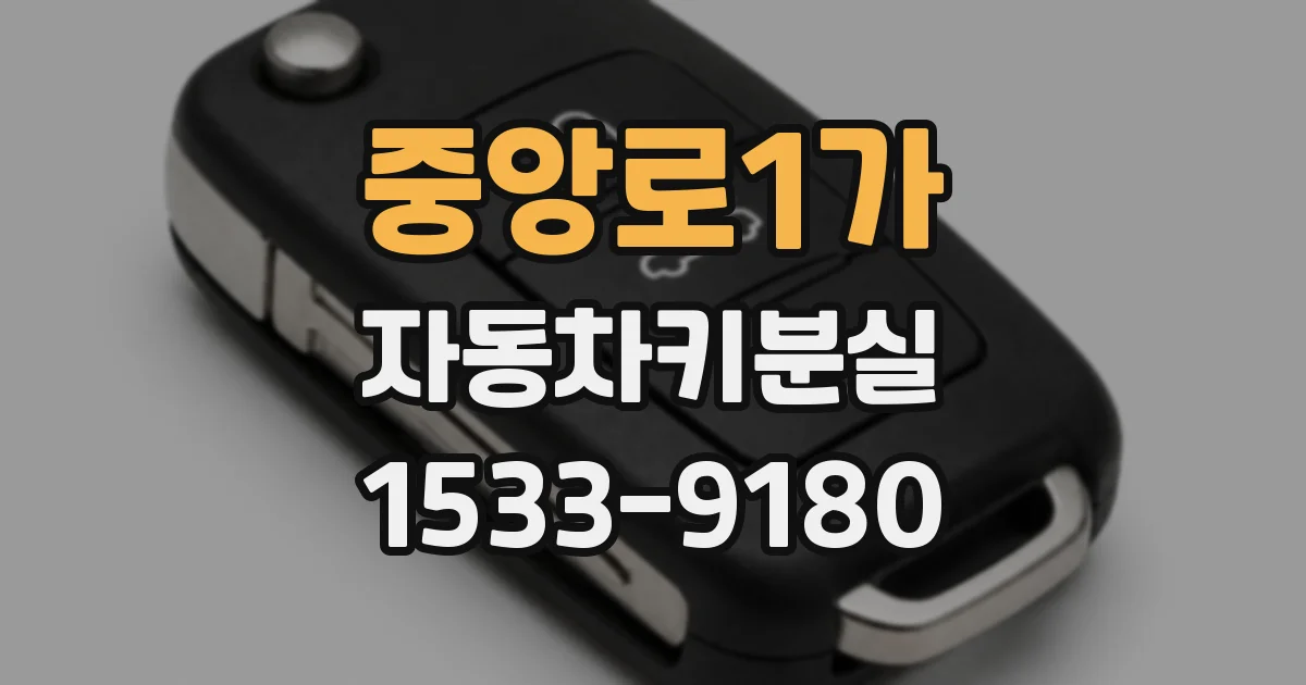 중앙로1가 자동차키분실