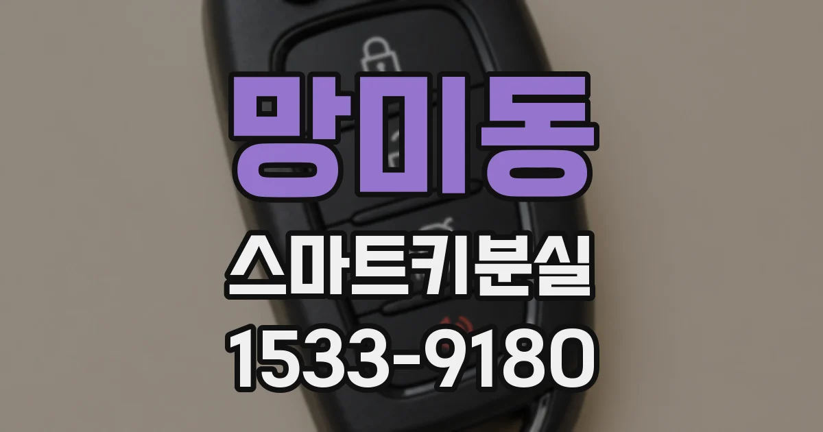 망미동 스마트키분실