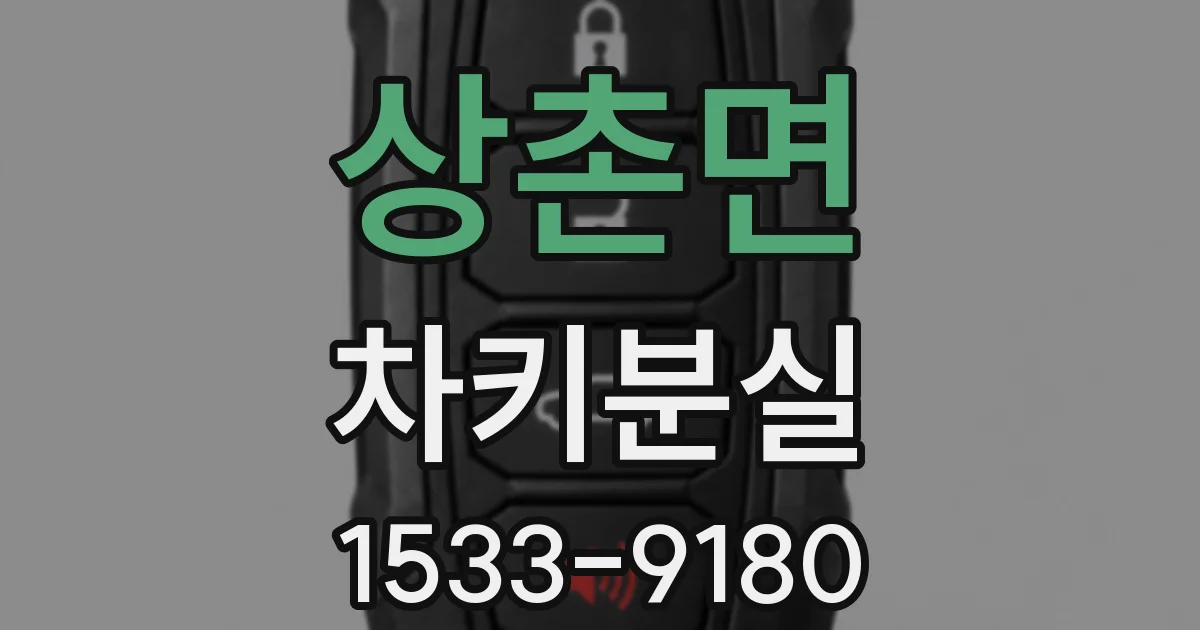 상촌면 차키분실