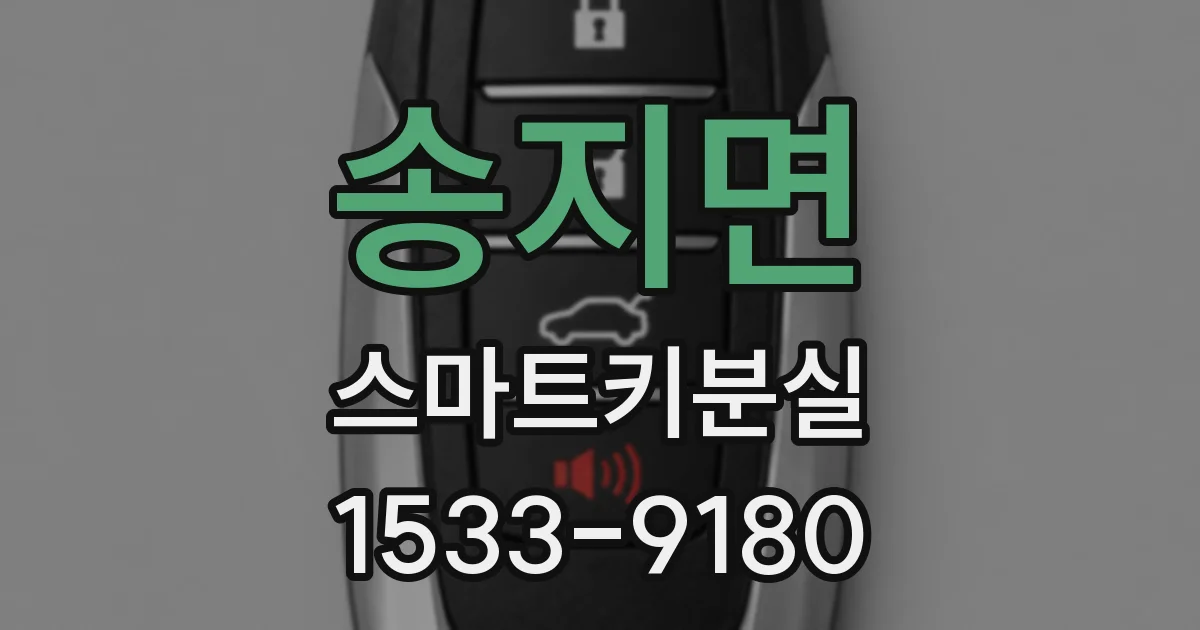 송지면 스마트키분실