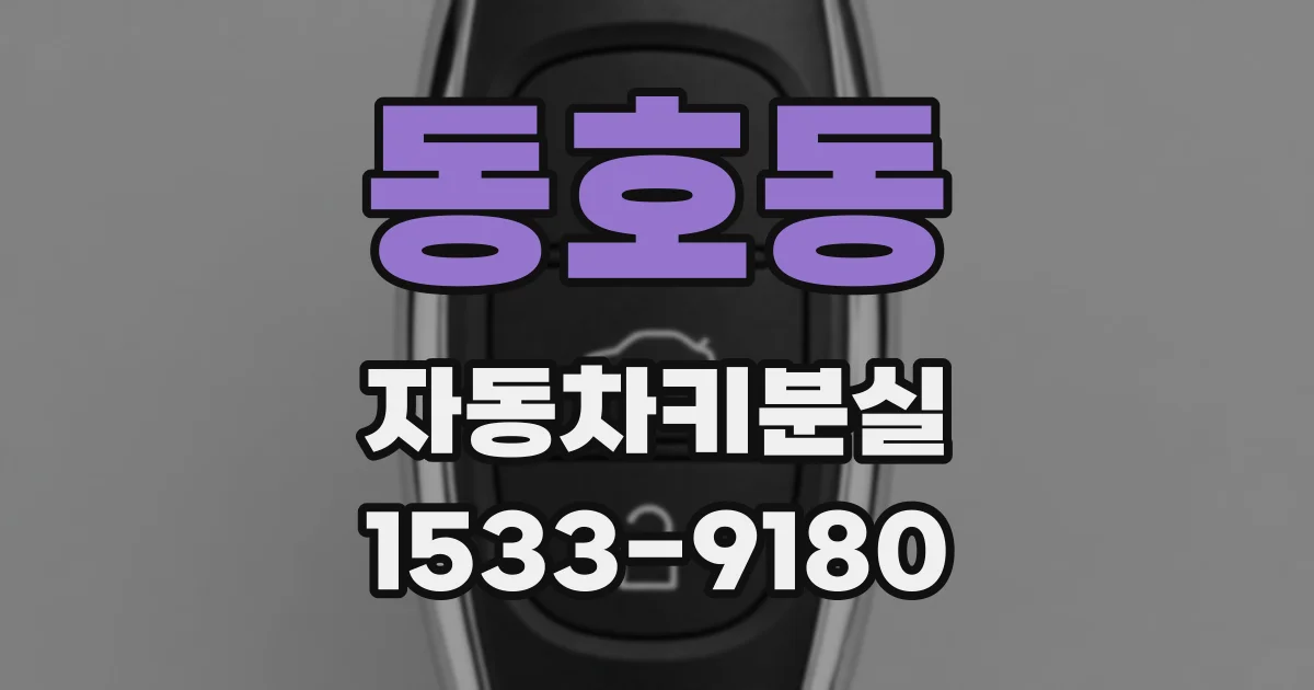 동호동 자동차키분실