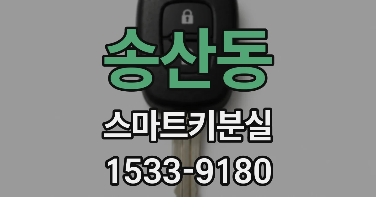 송산동 스마트키분실