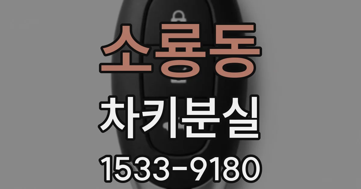 소룡동 차키분실