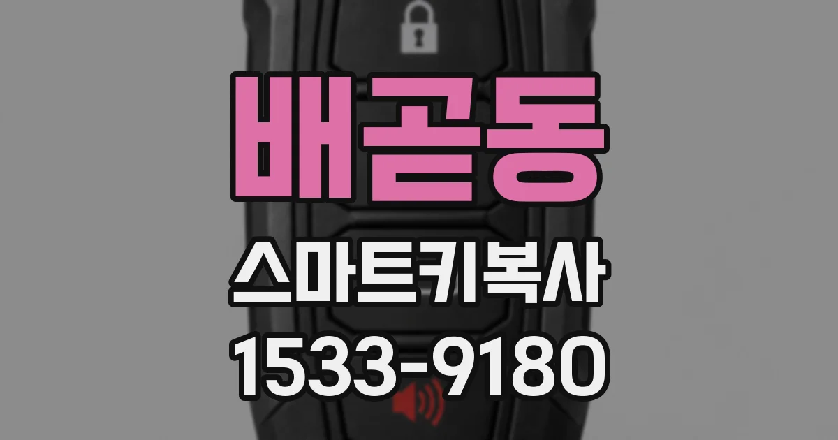 배곧동 스마트키복사