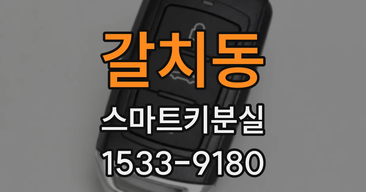 갈치동 스마트키분실